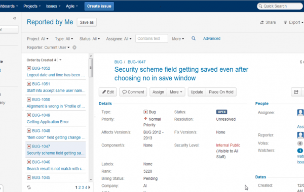 Bug Tracking Report