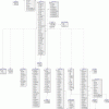 ER Diagram